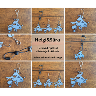 Nõid kassi ja laternaga